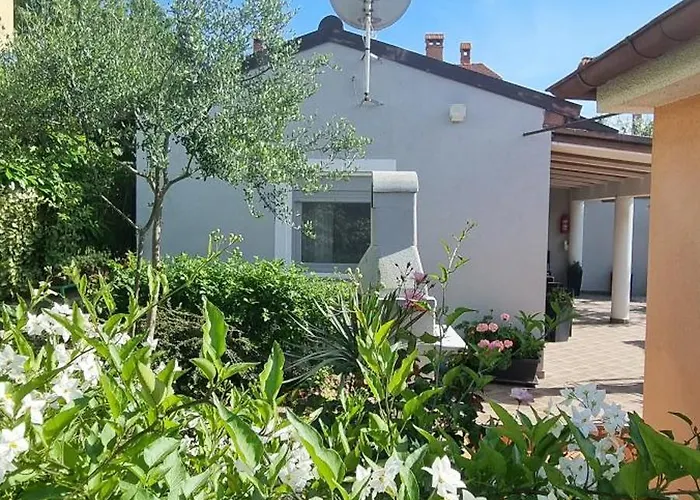 Lovely Veli Vrh Pula